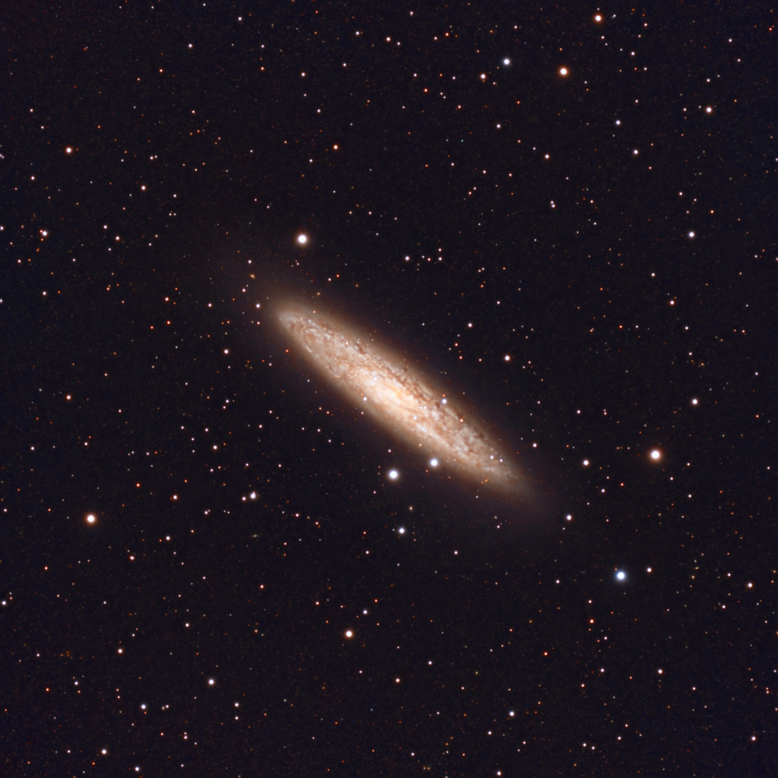 ngc253