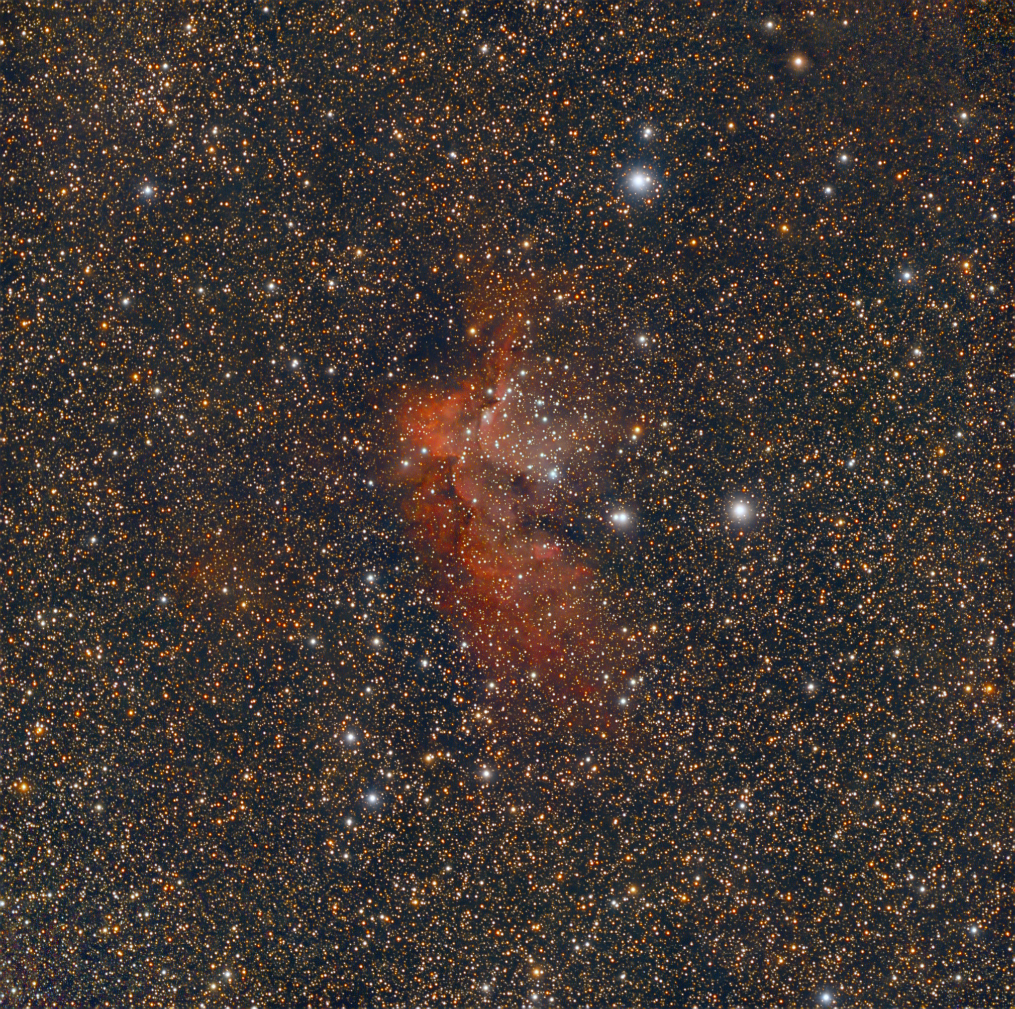 wizardnebula